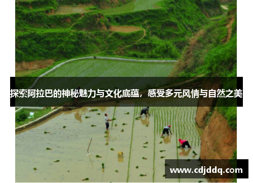 探索阿拉巴的神秘魅力与文化底蕴，感受多元风情与自然之美